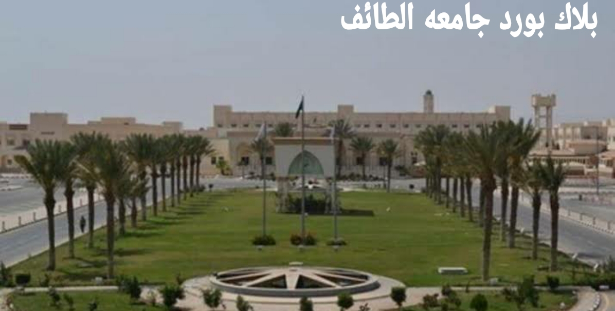 بلاك جامعة بورد طيبة Taibah University