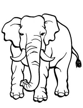 صورة فيل للتلوين