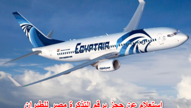 استعلام عن حجز برقم التذكرة مصر للطيران