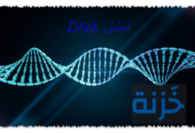 تحليل DNA