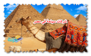 شركات سياحة في مصر