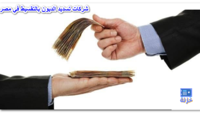 شركات تسديد الديون في مصر