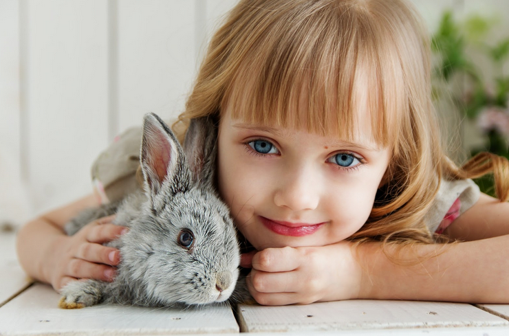 صورة بنت وأرنب 