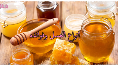 انواع العسل وفوائده